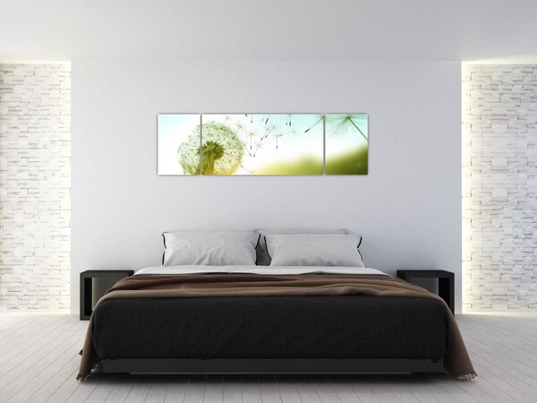 Obraz - Dmuchawiec na wietrze (170x50 cm)