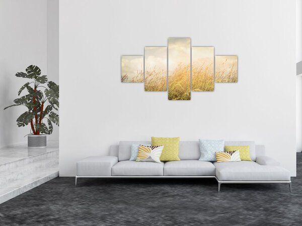 Obraz - Pole jesienią (125x70 cm)