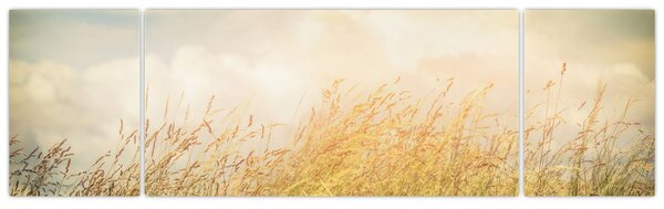 Obraz - Pole jesienią (170x50 cm)
