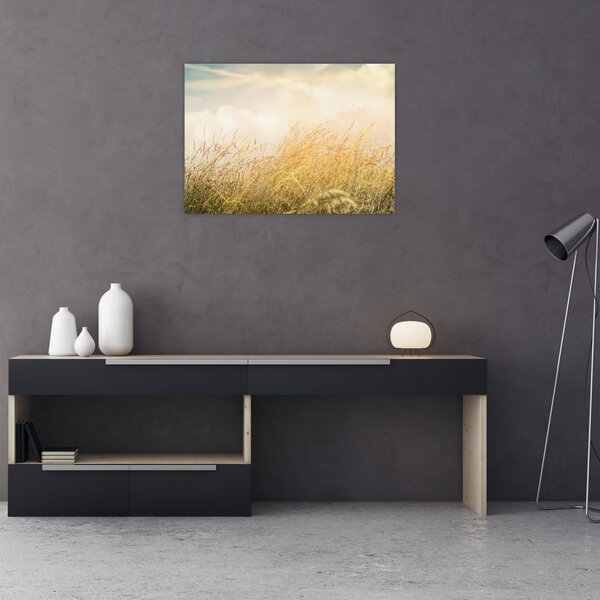 Obraz - Pole jesienią (70x50 cm)