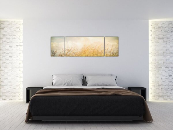 Obraz - Pole jesienią (170x50 cm)