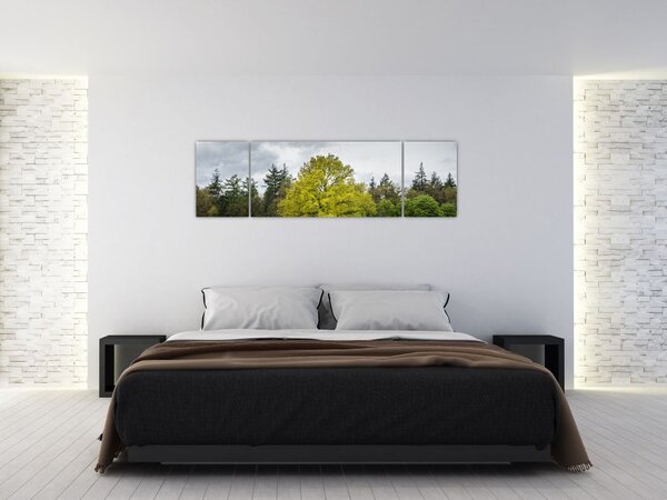 Obraz zielonego drzewa na środku pola (170x50 cm)