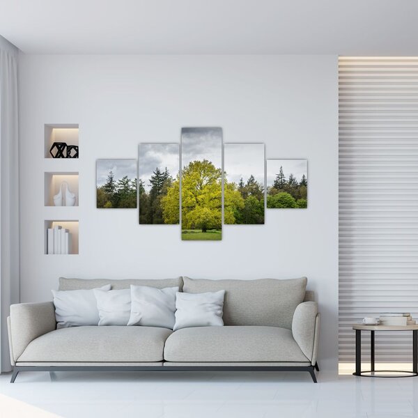 Obraz zielonego drzewa na środku pola (125x70 cm)