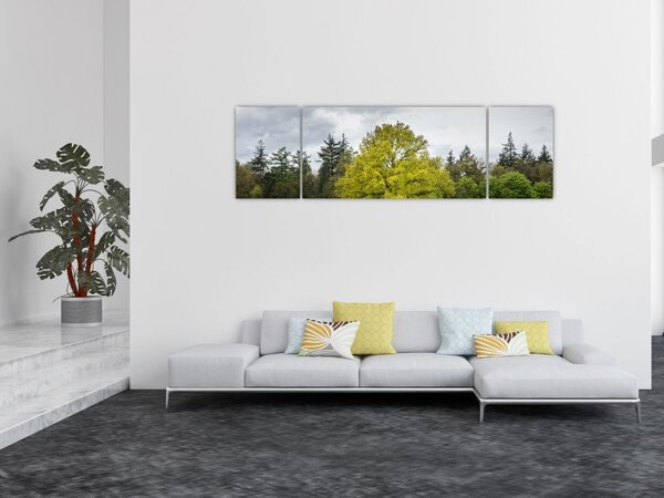 Obraz zielonego drzewa na środku pola (170x50 cm)
