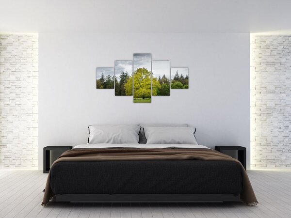 Obraz zielonego drzewa na środku pola (125x70 cm)