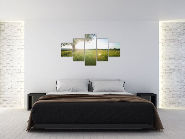 Obraz drzewa na polu (125x70 cm)