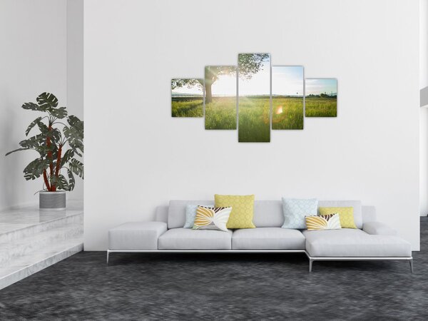 Obraz drzewa na polu (125x70 cm)