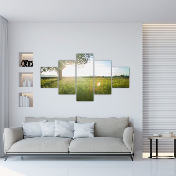 Obraz drzewa na polu (125x70 cm)