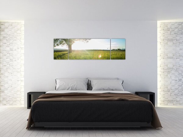 Obraz drzewa na polu (170x50 cm)