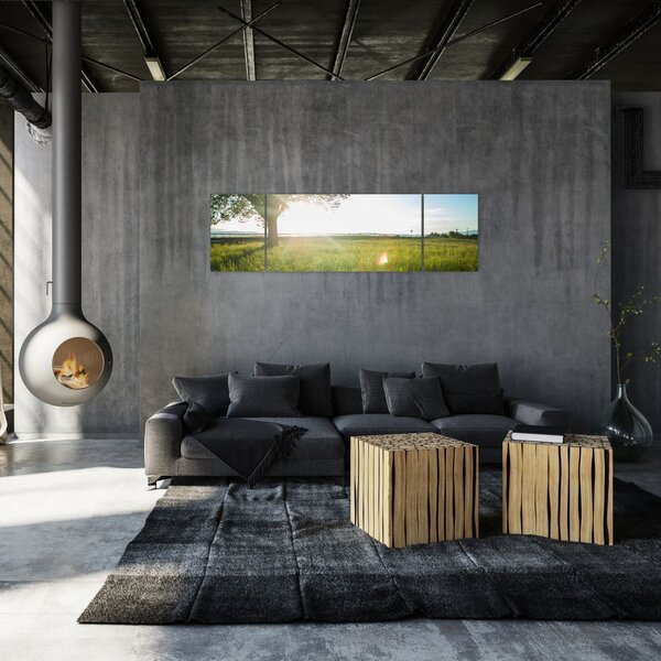 Obraz drzewa na polu (170x50 cm)