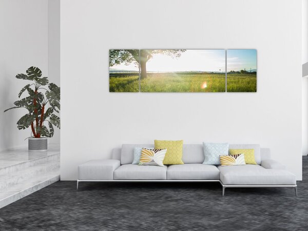Obraz drzewa na polu (170x50 cm)