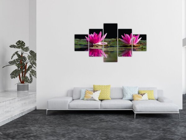 Obraz lilii wodnych na wodzie (125x70 cm)