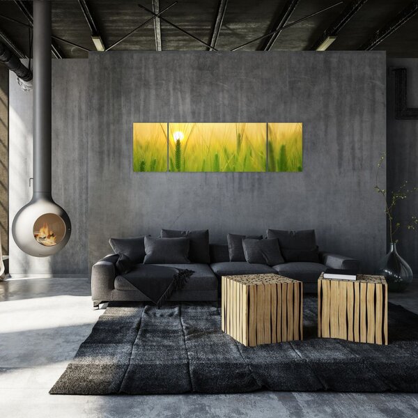 Obraz pola ze zbożem (170x50 cm)