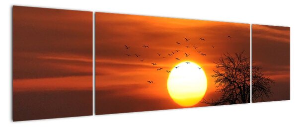 Obraz - Zachód słońca (170x50 cm)