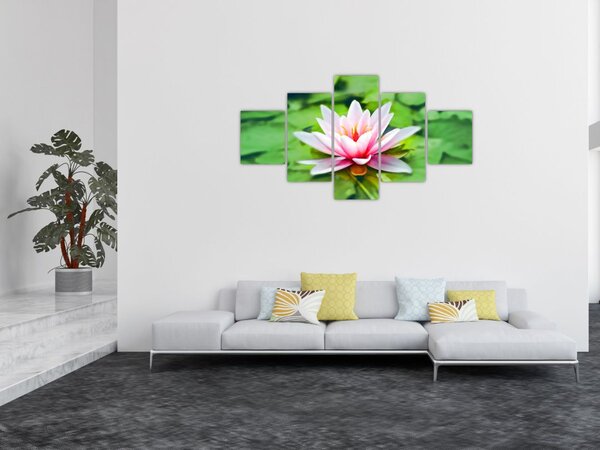 Obraz lilii wodnej na powierzchni (125x70 cm)