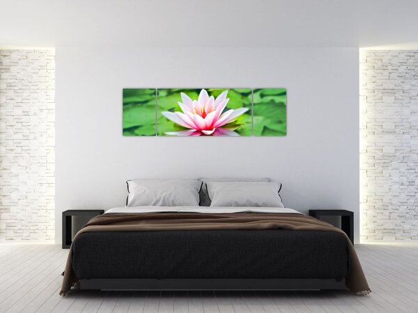Obraz lilii wodnej na powierzchni (170x50 cm)