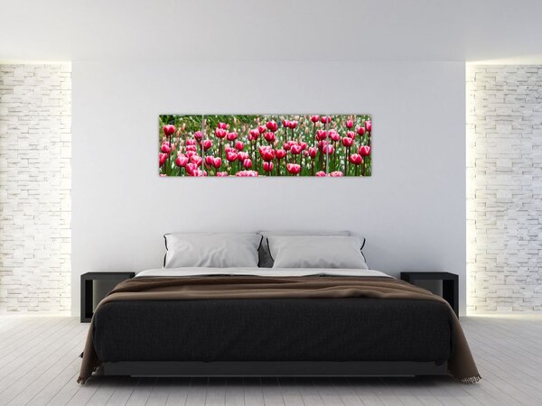 Obraz tulipanów (170x50 cm)
