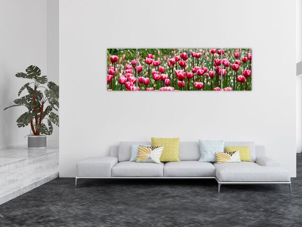 Obraz tulipanów (170x50 cm)