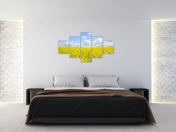 Obraz żółtego pola (125x70 cm)