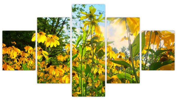 Obraz żółtych kwiatów (125x70 cm)