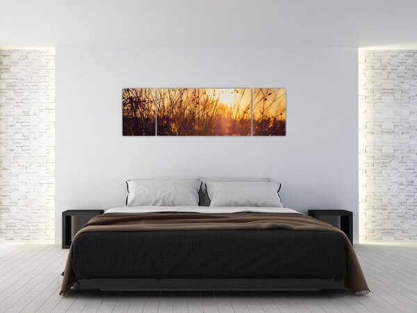 Obraz pola o zachodzie słońca (170x50 cm)