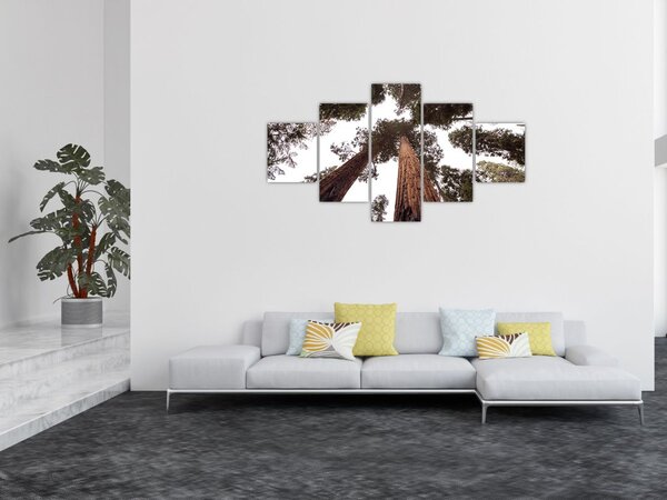 Obraz - Widok przez korony drzew (125x70 cm)