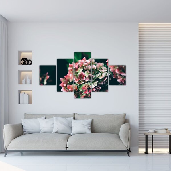Obraz - Fragment Hortensji (125x70 cm)