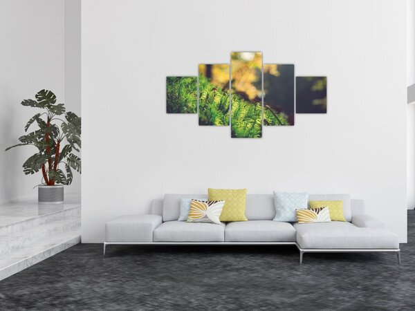Obraz mchu z grzybem (125x70 cm)