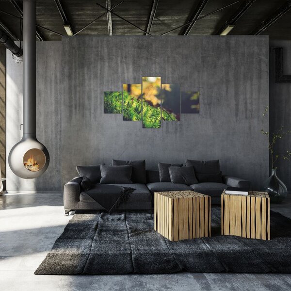 Obraz mchu z grzybem (125x70 cm)