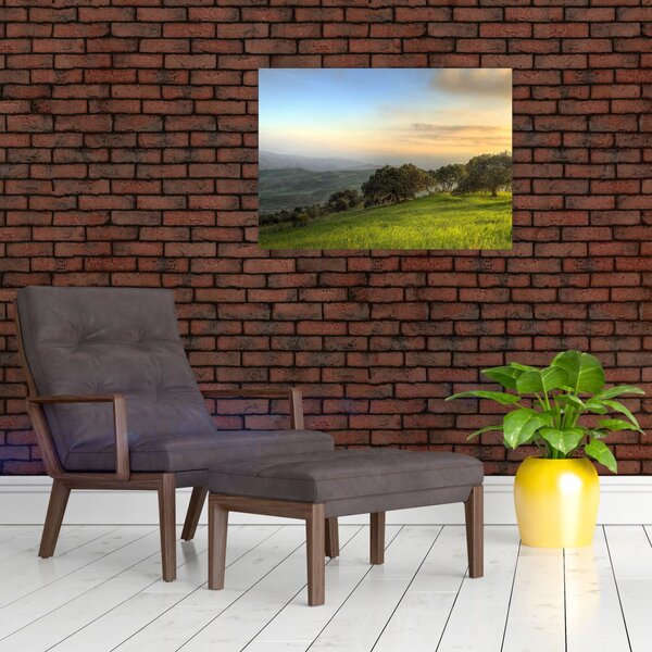 Obraz - Widok ze wzgórza (70x50 cm)