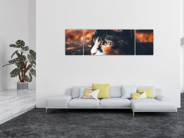 Obraz - Spojrzenie kota (170x50 cm)