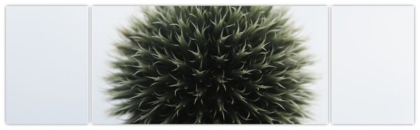 Obraz kuli kwiatowej (170x50 cm)
