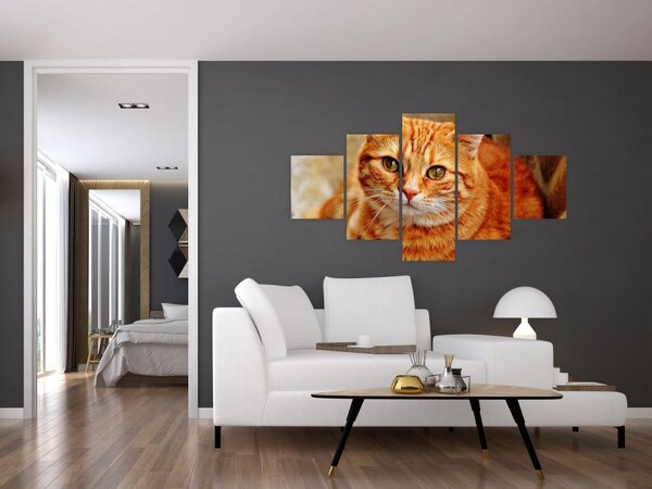 Obraz leżącego kota (125x70 cm)