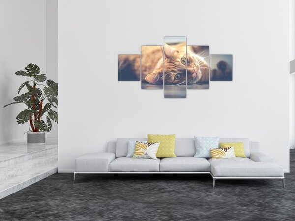 Obraz kota na podłodze (125x70 cm)