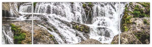 Obraz - Rapids (170x50 cm)