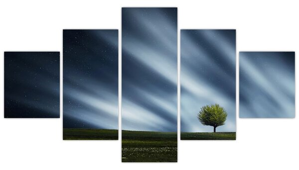 Obraz zorzy polarnej nad wrzosowiskami (125x70 cm)