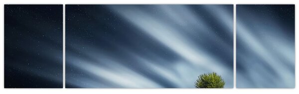 Obraz zorzy polarnej nad wrzosowiskami (170x50 cm)