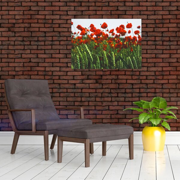 Obraz na szkle maków na wietrze (70x50 cm)
