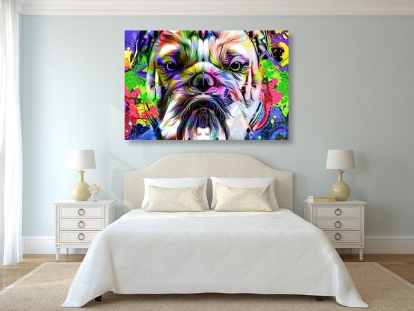 Obraz buldog pop-art