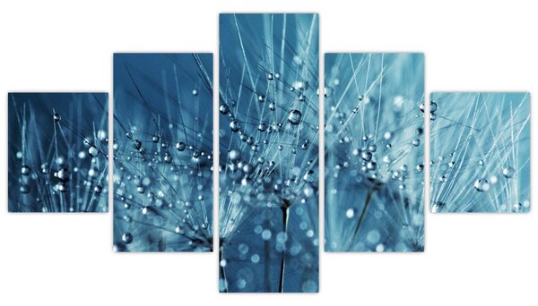 Obraz - Krople rosy (125x70 cm)