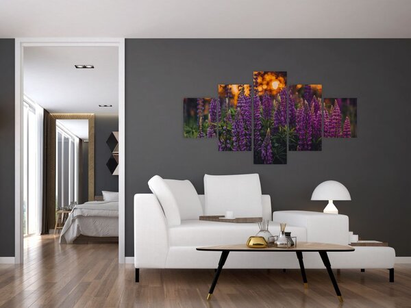 Obraz kwiatów łubinu (125x70 cm)