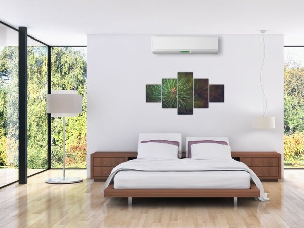 Obraz - Detal sosny (125x70 cm)