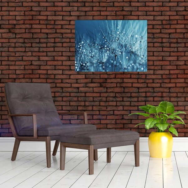 Obraz - Krople rosy (70x50 cm)