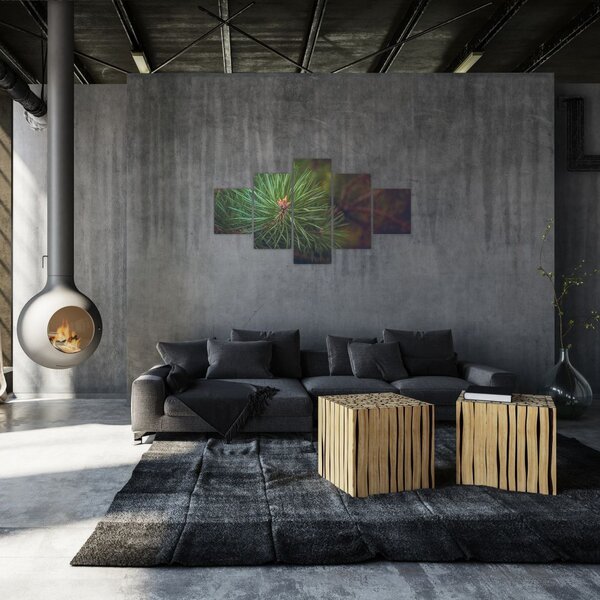 Obraz - Detal sosny (125x70 cm)