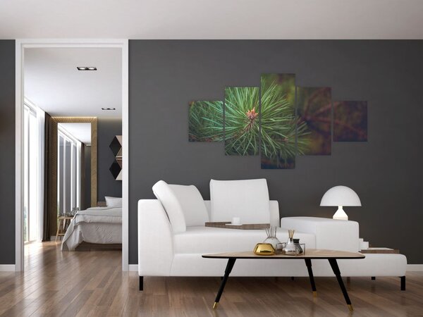 Obraz - Detal sosny (125x70 cm)
