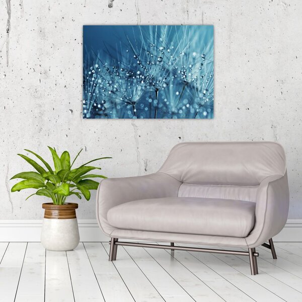 Obraz - Krople rosy (70x50 cm)
