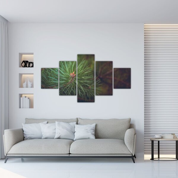 Obraz - Detal sosny (125x70 cm)