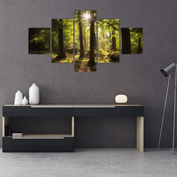 Obraz sennego lasu (125x70 cm)