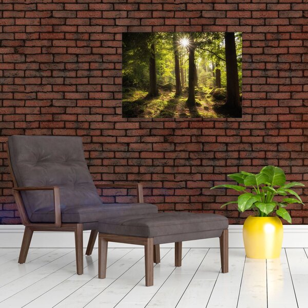 Obraz sennego lasu (70x50 cm)