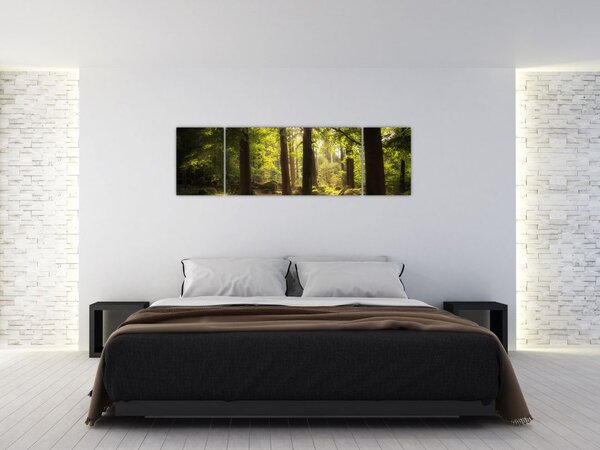 Obraz sennego lasu (170x50 cm)